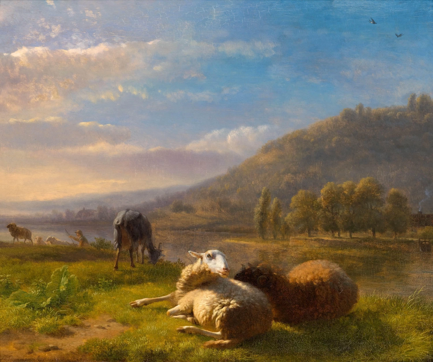Balthasar Ommeganck - Pecore e capre in un ampio paesaggio